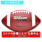 【革ボール】ウィルソン TDY WTF1300